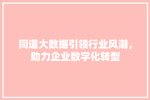 同道大数据引领行业风潮，助力企业数字化转型  第1张