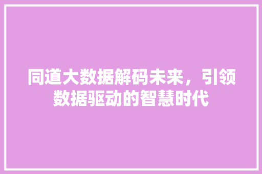 同道大数据解码未来，引领数据驱动的智慧时代