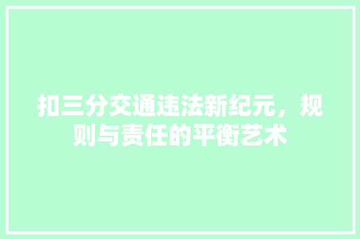扣三分交通违法新纪元，规则与责任的平衡艺术