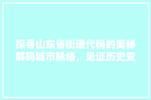 探寻山东省街道代码的奥秘解码城市脉络，见证历史变迁