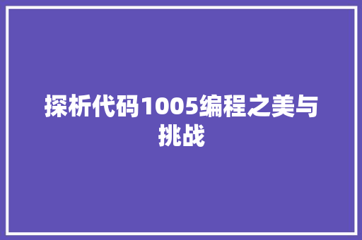 探析代码1005编程之美与挑战