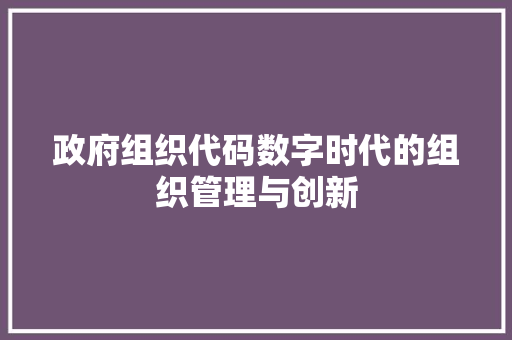 政府组织代码数字时代的组织管理与创新
