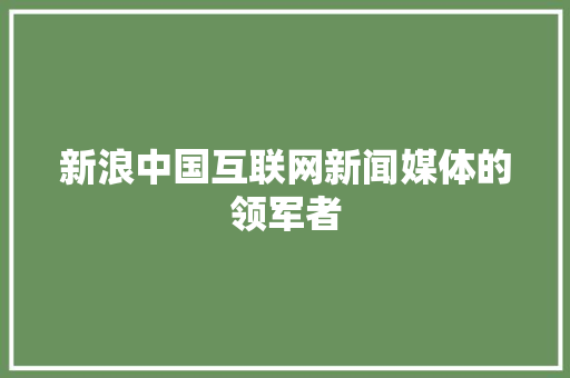 新浪中国互联网新闻媒体的领军者
