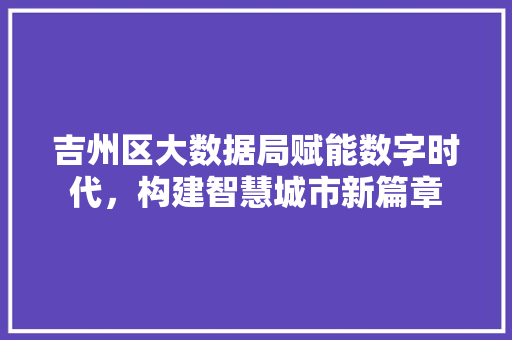 吉州区大数据局赋能数字时代，构建智慧城市新篇章  第1张