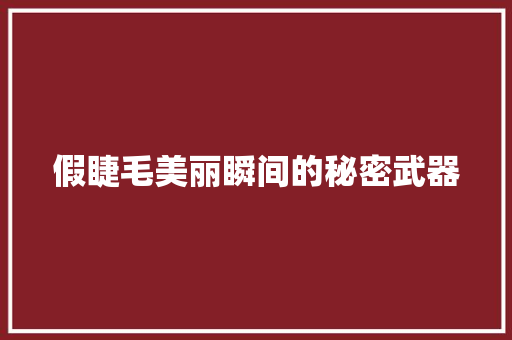 假睫毛美丽瞬间的秘密武器