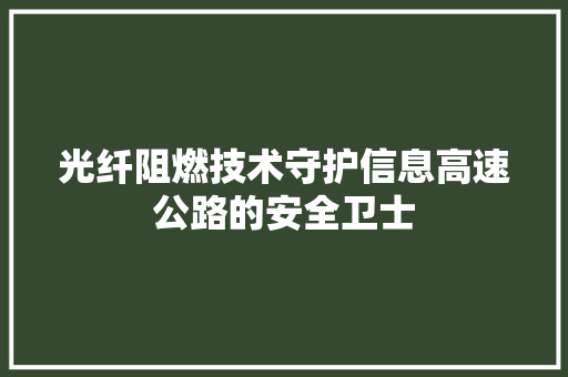 光纤阻燃技术守护信息高速公路的安全卫士
