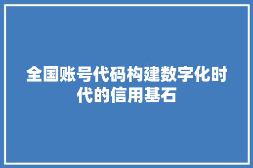 全国账号代码构建数字化时代的信用基石