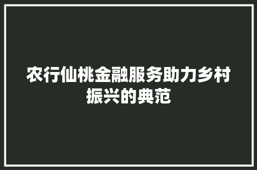 农行仙桃金融服务助力乡村振兴的典范