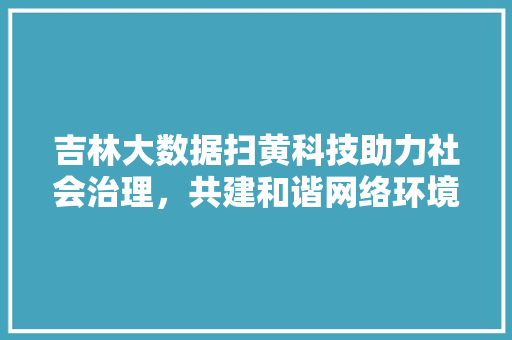 吉林大数据扫黄科技助力社会治理，共建和谐网络环境  第1张