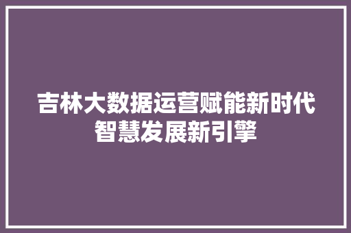 吉林大数据运营赋能新时代智慧发展新引擎