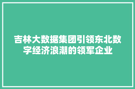 吉林大数据集团引领东北数字经济浪潮的领军企业  第1张