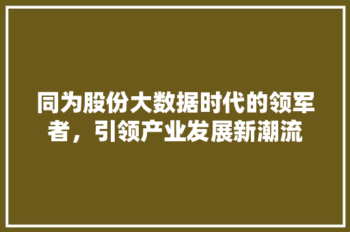 同为股份大数据时代的领军者，引领产业发展新潮流