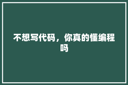 不想写代码，你真的懂编程吗