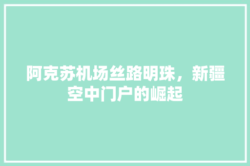 阿克苏机场丝路明珠，新疆空中门户的崛起  第1张