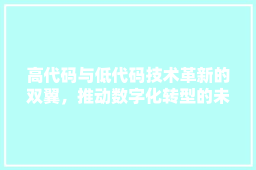 高代码与低代码技术革新的双翼，推动数字化转型的未来