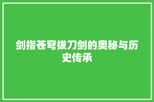 剑指苍穹拔刀剑的奥秘与历史传承