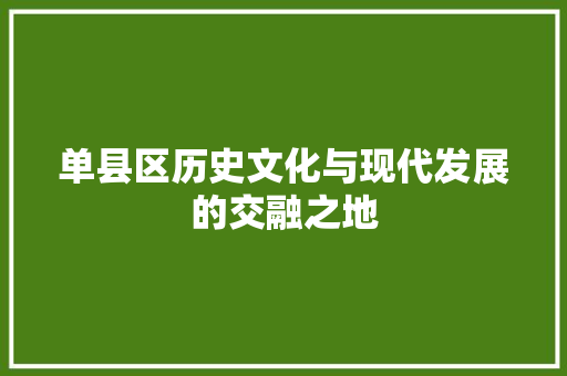 单县区历史文化与现代发展的交融之地