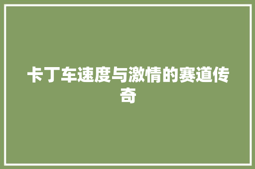 卡丁车速度与激情的赛道传奇  第1张