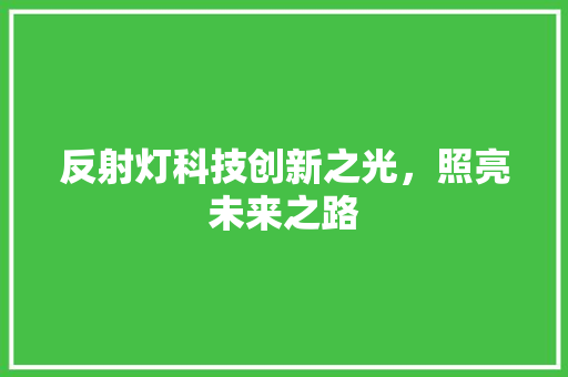 反射灯科技创新之光，照亮未来之路
