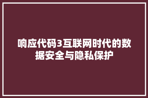 响应代码3互联网时代的数据安全与隐私保护