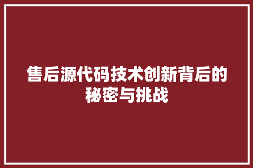 售后源代码技术创新背后的秘密与挑战