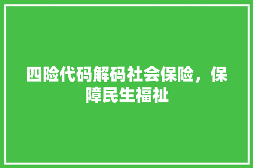 四险代码解码社会保险，保障民生福祉
