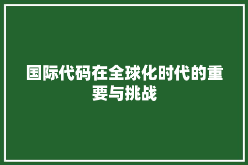 国际代码在全球化时代的重要与挑战