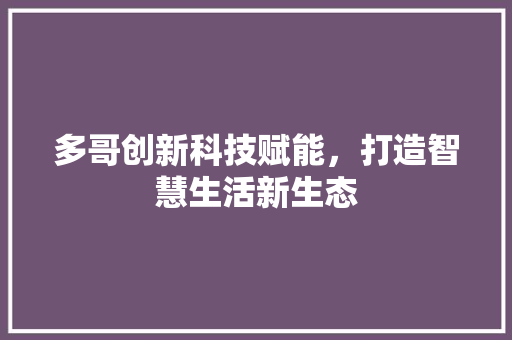 多哥创新科技赋能，打造智慧生活新生态