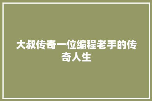 大叔传奇一位编程老手的传奇人生
