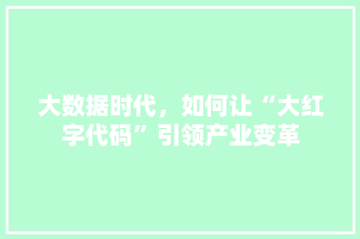 大数据时代，如何让“大红字代码”引领产业变革