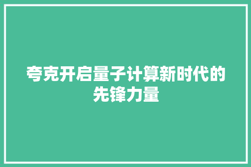 夸克开启量子计算新时代的先锋力量