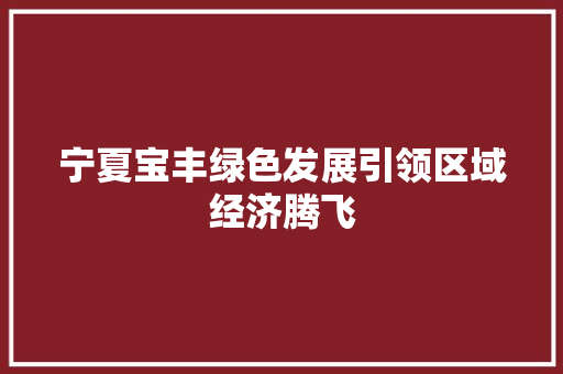 宁夏宝丰绿色发展引领区域经济腾飞