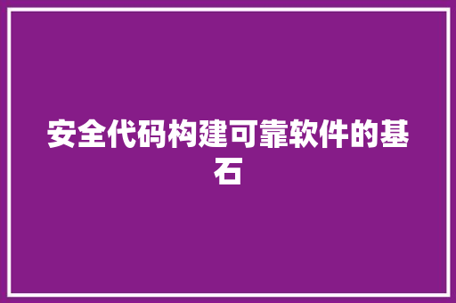 安全代码构建可靠软件的基石