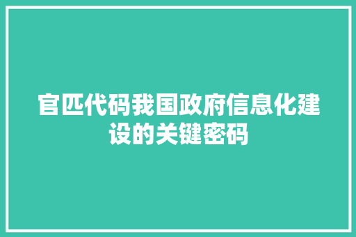 官匹代码我国政府信息化建设的关键密码