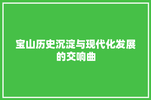 宝山历史沉淀与现代化发展的交响曲
