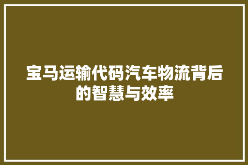 宝马运输代码汽车物流背后的智慧与效率  第1张