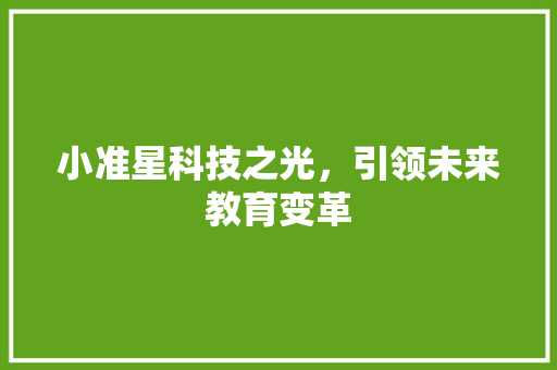 小准星科技之光，引领未来教育变革