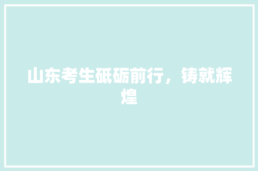 山东考生砥砺前行，铸就辉煌