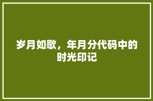 岁月如歌，年月分代码中的时光印记