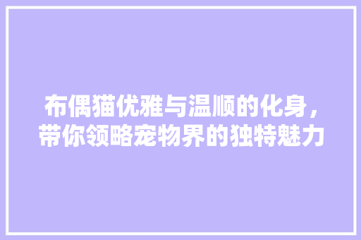 布偶猫优雅与温顺的化身，带你领略宠物界的独特魅力