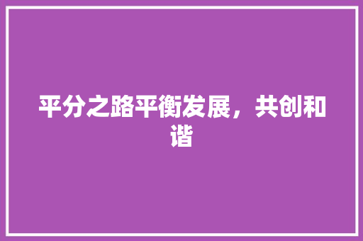 平分之路平衡发展，共创和谐