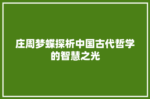 庄周梦蝶探析中国古代哲学的智慧之光