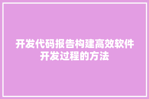 开发代码报告构建高效软件开发过程的方法