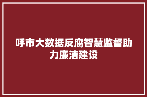 呼市大数据反腐智慧监督助力廉洁建设  第1张
