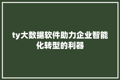 ty大数据软件助力企业智能化转型的利器