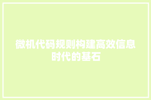 微机代码规则构建高效信息时代的基石