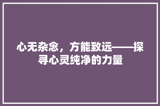 心无杂念，方能致远——探寻心灵纯净的力量