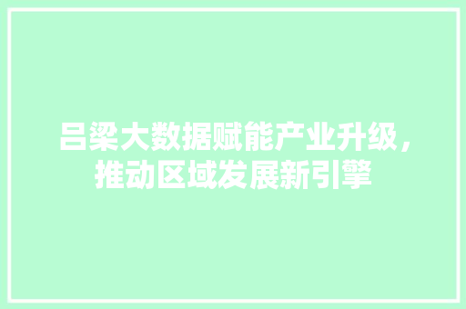 吕梁大数据赋能产业升级，推动区域发展新引擎  第1张