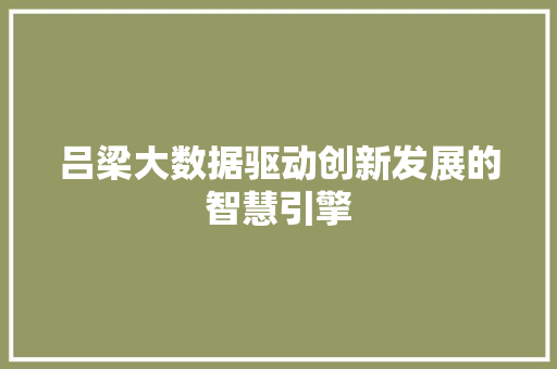 吕梁大数据驱动创新发展的智慧引擎