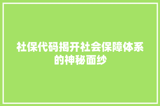 社保代码揭开社会保障体系的神秘面纱